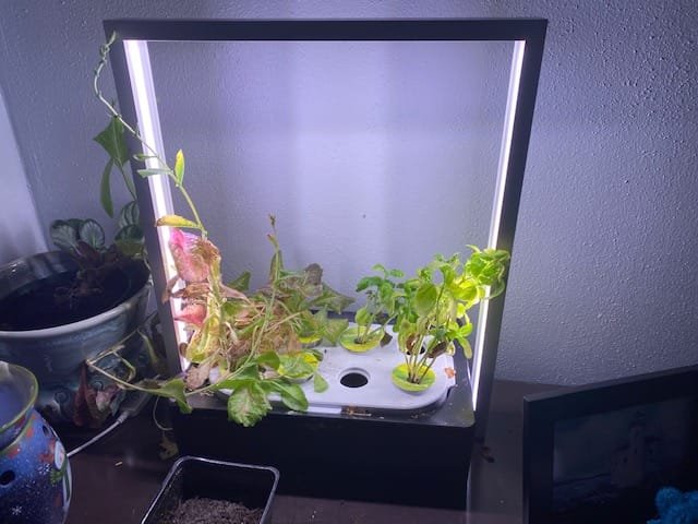 grow light