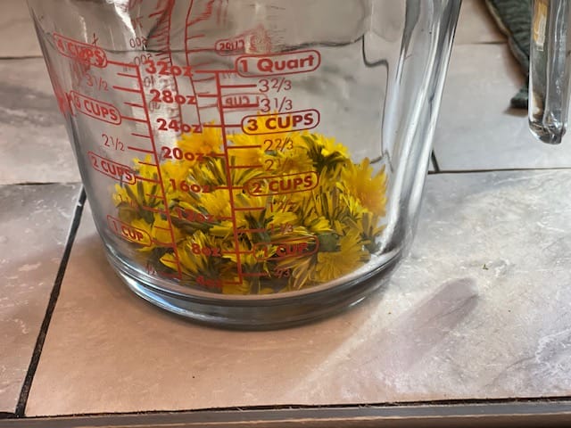 A cup of dandelion flowers